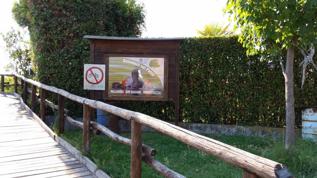 Villa Twetty Massaciuccoli Екстериор снимка